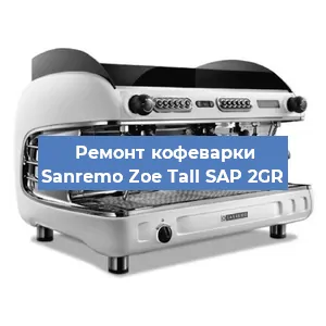Чистка кофемашины Sanremo Zoe Tall SAP 2GR от накипи в Волгограде